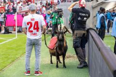1_FCK_Spieltag_20250518_625