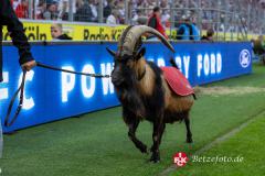 FCK_Spieltag_20250518_702