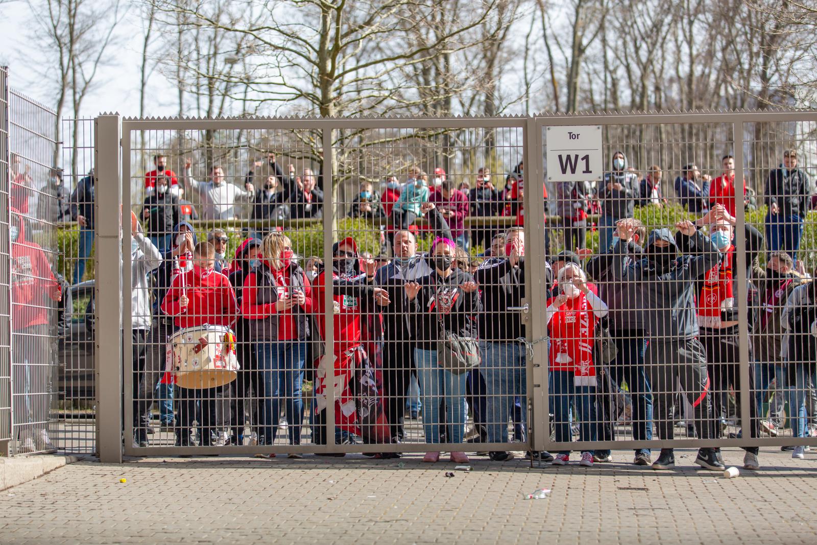 Fans