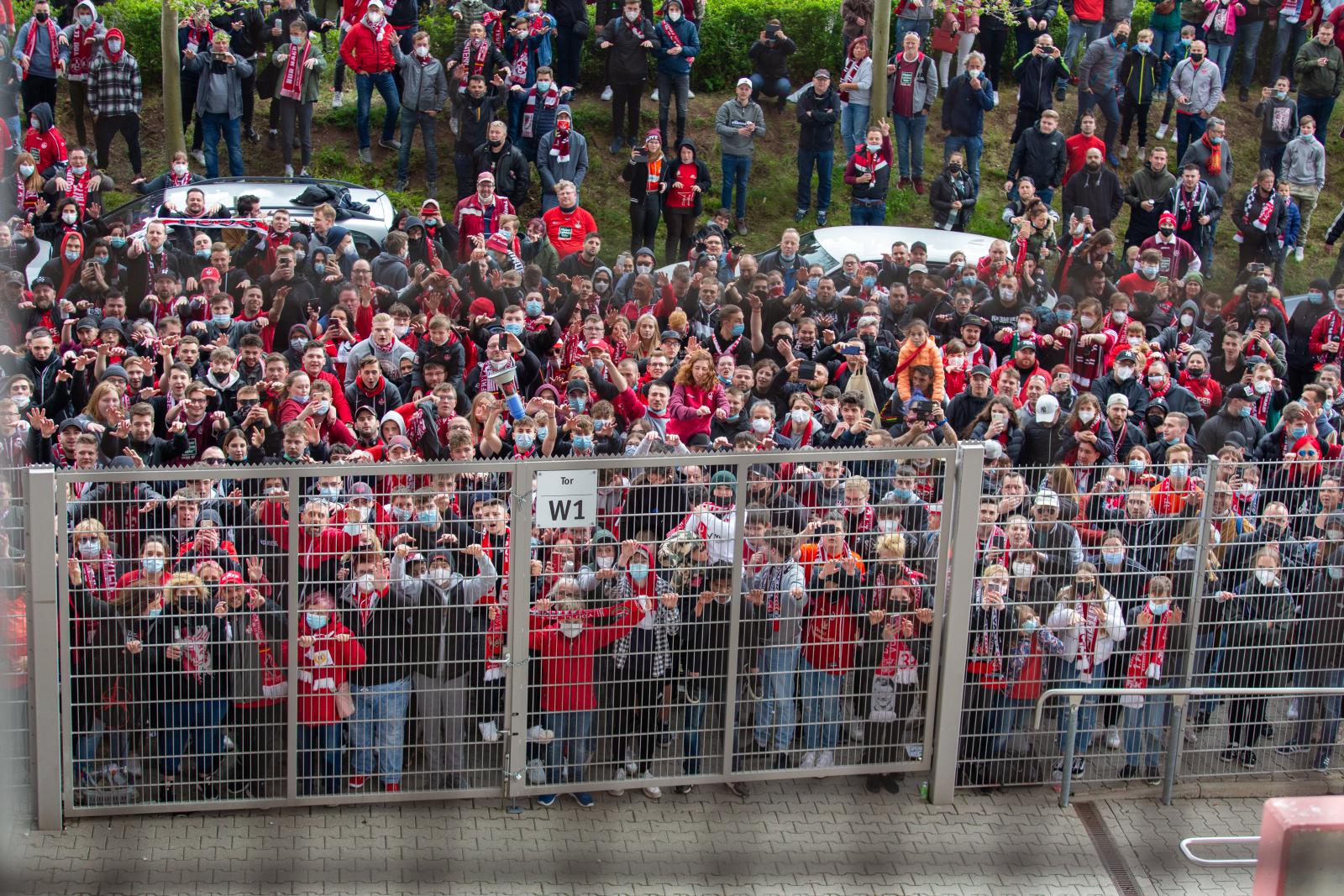 Fans