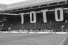 Choreo Toto