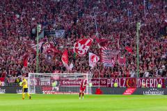 Fans Westkurve