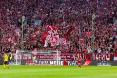 Fans Westkurve
