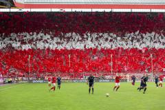 Choreo gegen Waldhof