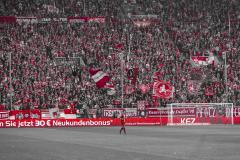 Fans Westkurve