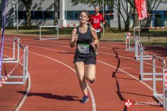 Lebenslauf_MPHK_202400901_1171