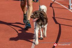 Lebenslauf_MPHK_202400901_1370