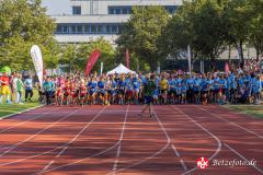 Lebenslauf_MPHK_202400901_497