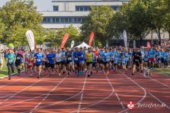 Lebenslauf_MPHK_202400901_499