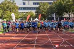 Lebenslauf_MPHK_202400901_499