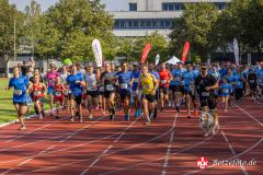 Lebenslauf_MPHK_202400901_507