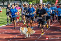 Lebenslauf_MPHK_202400901_515