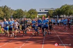 Lebenslauf_MPHK_202400901_519