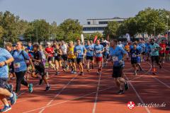 Lebenslauf_MPHK_202400901_526