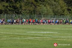 Lebenslauf_MPHK_202400901_596