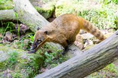 Zoo_Siegelbach_KL_20230515_165