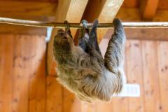 Zoo_Siegelbach_KL_20230515_288