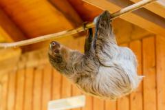 Zoo_Siegelbach_KL_20230515_318