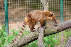 Zoo_Siegelbach_KL_20230515_60