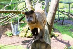 Zoo_Siegelbach_KL_20230515_669