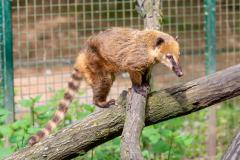Zoo_Siegelbach_KL_20230515_67