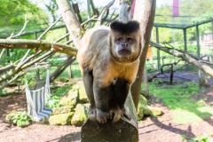 Zoo_Siegelbach_KL_20230515_691