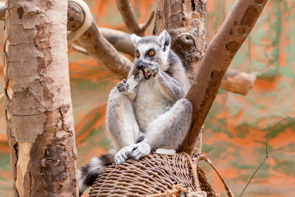 Zoobesuch Siegelbach 15.05.2023